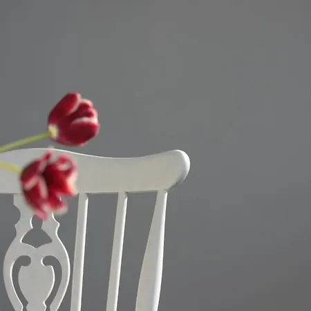 Selection Penzion Bělehrad