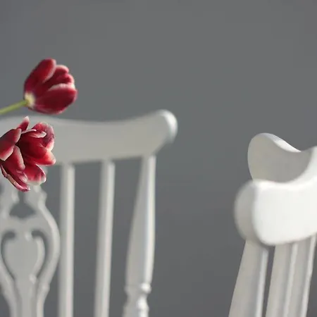 精选客房旅馆 3* 贝尔格莱德